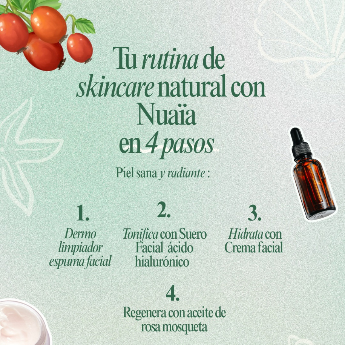 dermo limpiador ciclo completo